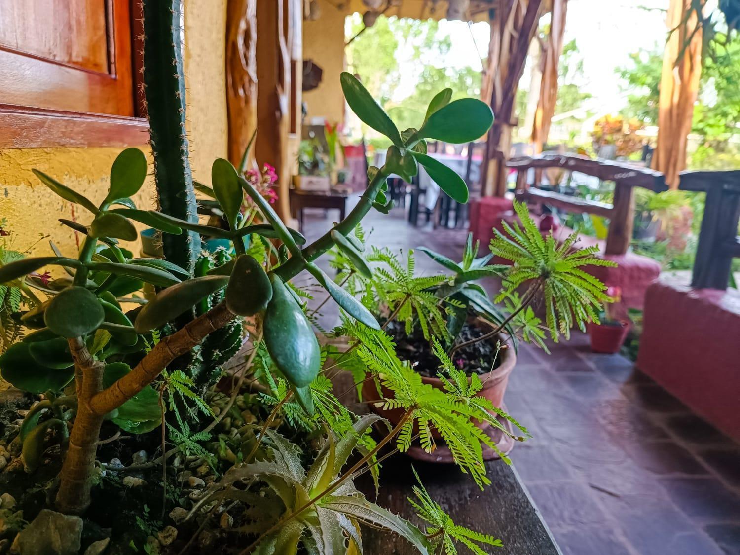 Hotel Del Campo Quimbaya Buitenkant foto